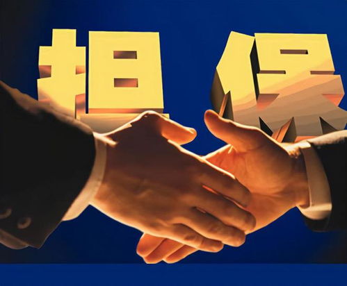 泰安弘泽担保 勇做服务实体经济主力军，破解小微三农融资难题