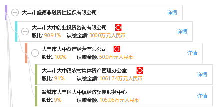 大丰市盛德非融资性担保 专业服务助力商业发展
